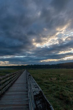 parlak bulutlu gün batımı altında yemyeşil sulak üzerinde streching uzun ahşap boardwalk