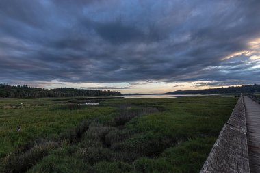 parlak bulutlu gün batımı altında yemyeşil sulak üzerinde streching uzun ahşap boardwalk