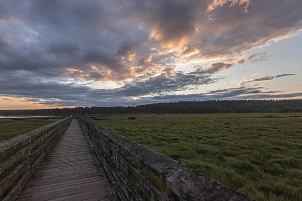 Longue promenade de bois s'étirant loin à travers un vert luxuriant zones humides sous un coucher de soleil nuageux lumineux — Photo