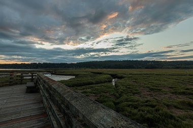 parlak bulutlu gün batımı altında yemyeşil sulak alanlarda streching uzun ahşap boardwalk