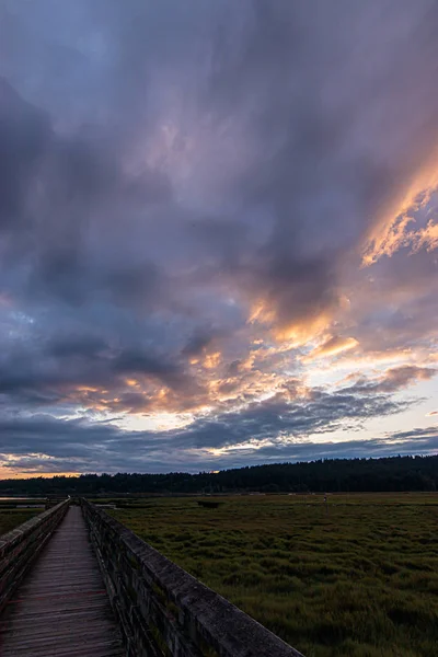 Longue promenade en bois menant à travers une luxuriante zone humide verte sous un coucher de soleil nuageux lumineux — Photo