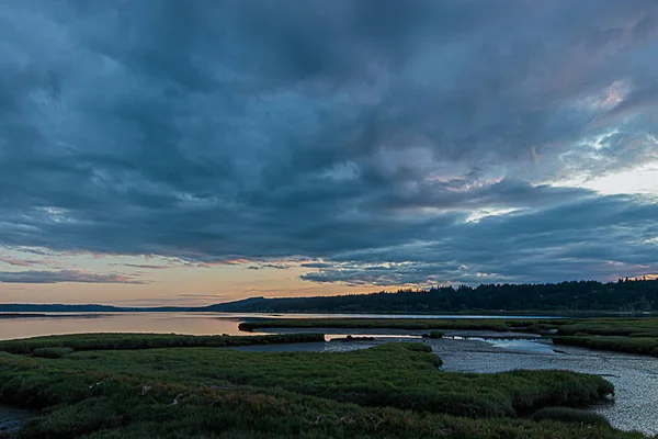 bright vibrant cloudy sunset over a thick dark green wetland full of tall grass and streams of water