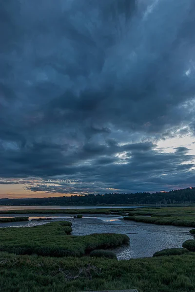 uzun sazlıklar ve su akıntıları dolu kalın koyu yeşil sulak alan üzerinde parlak canlı bulutlu gün batımı