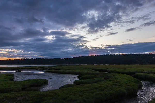 Coucher de soleil nuageux et lumineux sur une épaisse zone humide vert foncé pleine de ruisseaux d'eau — Photo