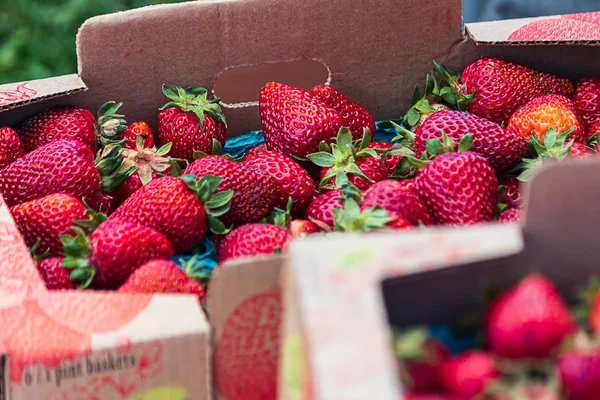 bright red freshly harvested strawberries piled together in a large cardboard crate at a local market