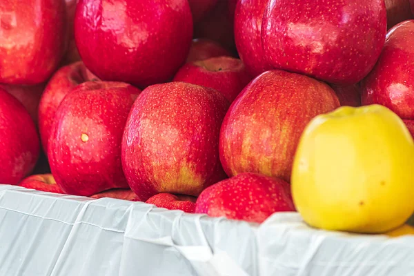 Manzanas apiladas frescas y listas para vender en el mercado — Foto de Stock