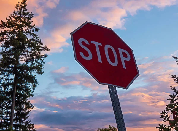 Stop sign near forest trees under bright sunset — Stock Photo, Image