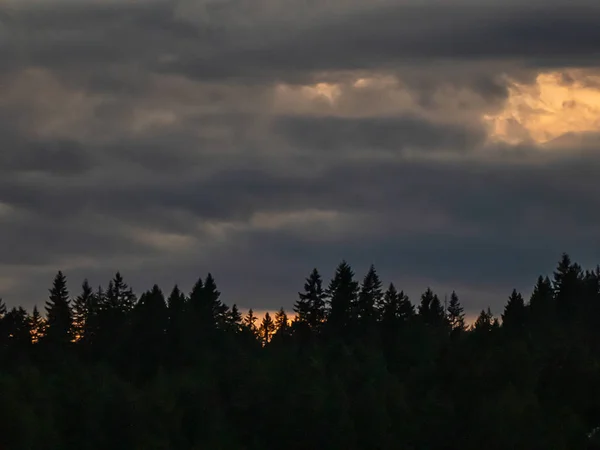 Árboles se levantan contra las nubes y el atardecer en el cielo tormentoso — Foto de Stock