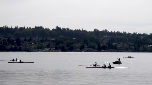 Kajakarstwo klasy wzdłuż jeziora w lecie — Wideo stockowe