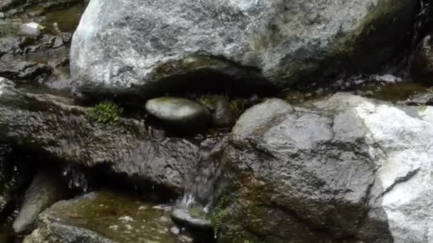 Água caindo homem fez cachoeira em um jardim — Vídeo de Stock