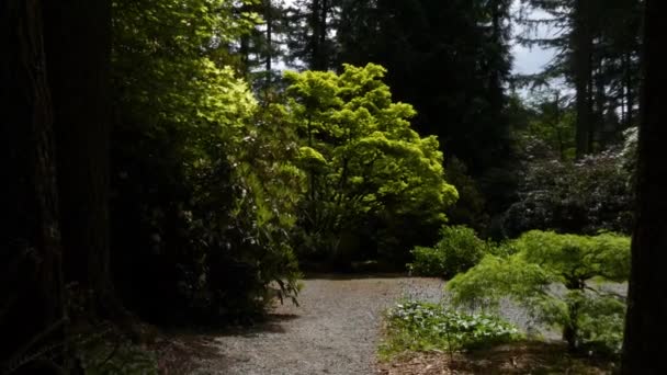 Jardín asain con un camino de grava envolviendo alrededor de un estanque lleno de hierba verde — Vídeo de stock