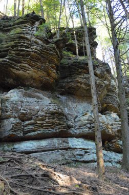 Açık mavi su akıntısı Ormanda akıyor