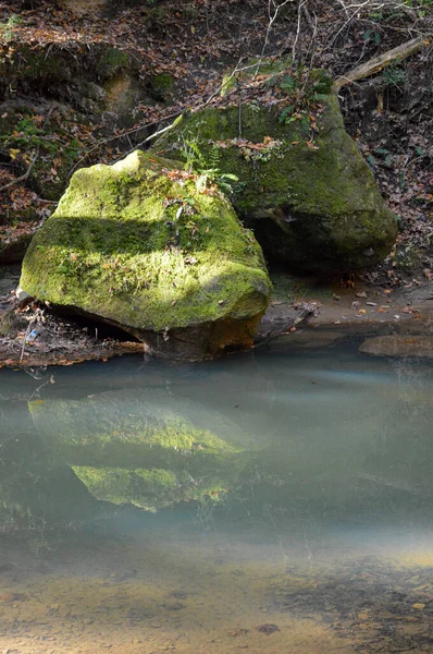 Flujo de agua azul claro que fluye a través de un bosque —  Fotos de Stock