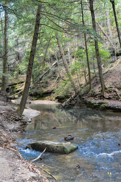 light blue stream of water flowing through a forest