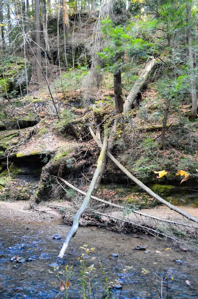 light blue stream of water flowing through a forest