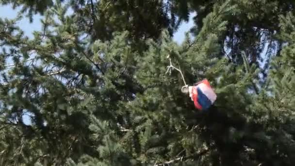 Speelgoed parachute man opknoping van een groene boom — Stockvideo