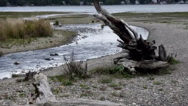 Strandlinje längs motorvägen på eftermiddagen under moln — Stockvideo