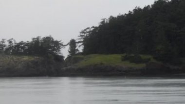 Washington Puget Sound 'da kara yağmurlu bir gün.