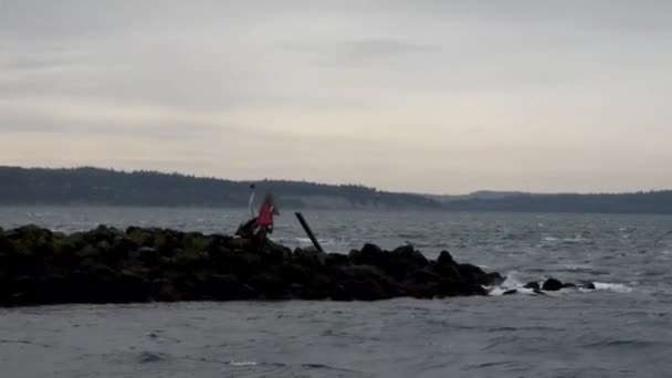 Veiw del sonido del puget desde el lado de un ferry — Vídeo de stock