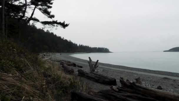 Washington Puget Sound 'da kara yağmurlu bir gün. — Stok video