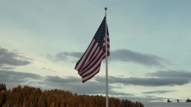 Amerikansk flagga viftar högst upp på en hög flaggstång — Stockvideo