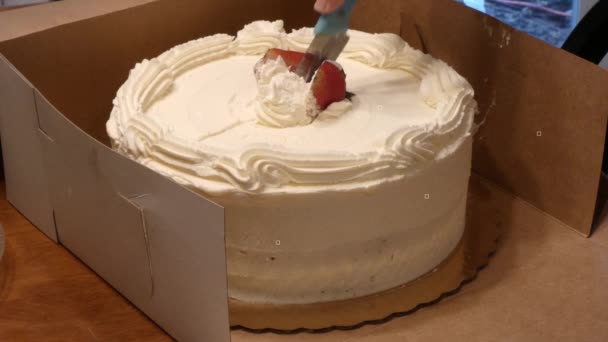 Circular cake covered in whipped cream in a box — Stock Video