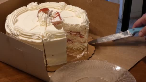 Круглый торт, покрытый взбитыми сливками в коробке — стоковое видео