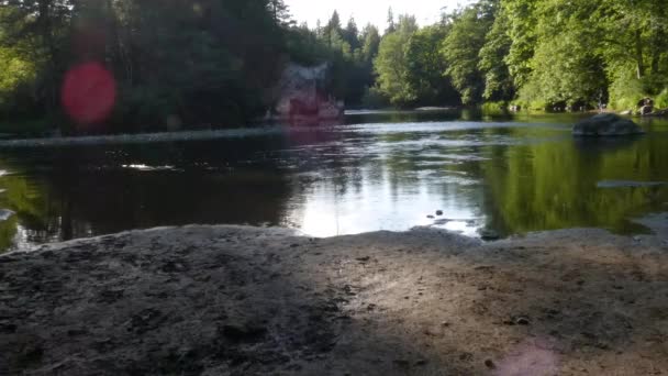 Snelle rivier snijden door een naaldbos op een heldere bewolkte dag — Stockvideo