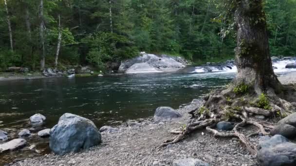 Steenachtige oevers van een snelle rivier die door een bos stroomt op een heldere en bewolkte dag — Stockvideo