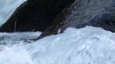Büyük kayaların üzerinden akan hızlı nehir bir ormandan geçiyor.