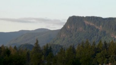 Aşağıdaki ormandan yükselen dağ