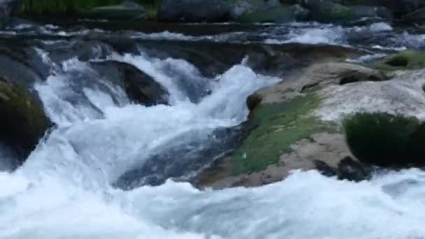Río rápido corriendo sobre grandes rocas que fluyen a través de un bosque — Vídeos de Stock