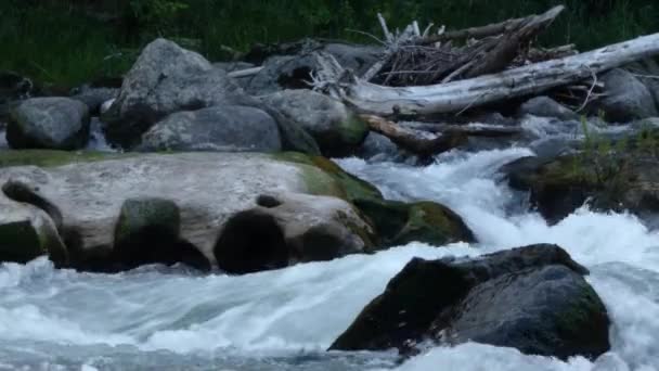 Snabb flod rusar över stora stenblock som rinner genom en skog — Stockvideo