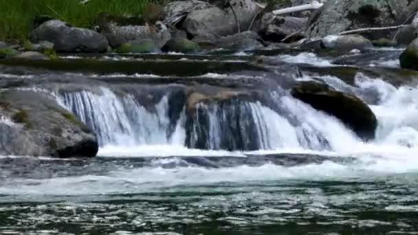 Rasanter Fluss rauscht über große Felsbrocken, die durch einen Wald fließen — Stockvideo
