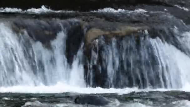 Rivière rapide se précipitant sur de grands rochers coulant à travers une forêt — Video