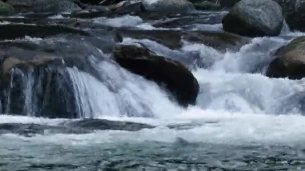 जंगलातून वाहणार्या मोठ्या बुल्डर्सवर जलद नदी धावत आहे — स्टॉक व्हिडिओ