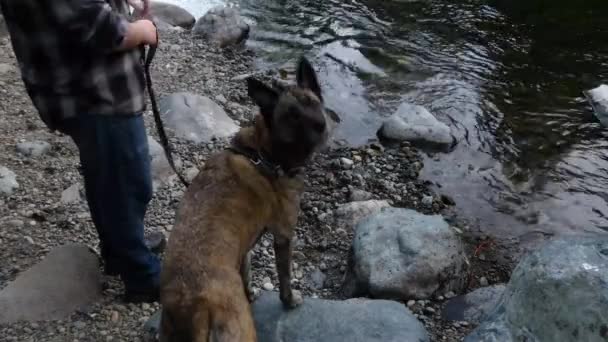Молодий чоловік з собакою-модницею на краю річки — стокове відео
