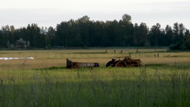Velho trator enferrujado sentado em um campo com floresta atrás dele — Vídeo de Stock