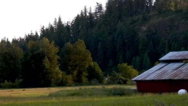 Farm with fields and barn along forest shadow and light — Stock Video