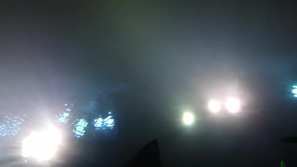 Grande manta ray nadar contra luzes brilhantes — Vídeo de Stock