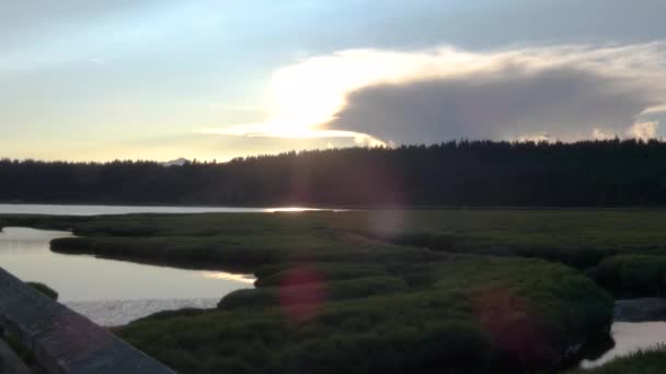 Západ slunce na březích kapotního kanálu s vlaštovkami — Stock video