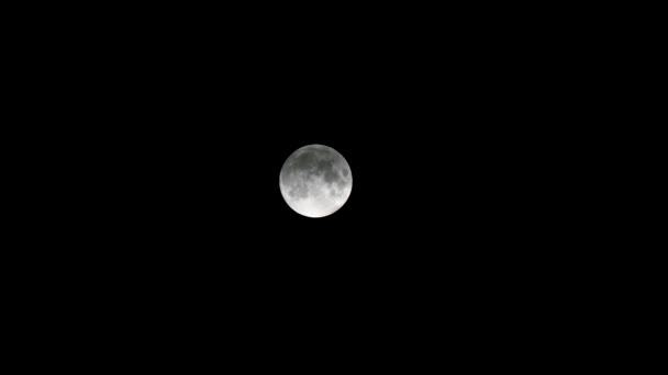 Cielo oscuro con luna llena y nubes — Vídeo de stock