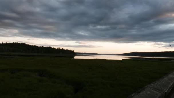 Petites hirondelles foncées contre le ciel nuageux et l'eau — Video