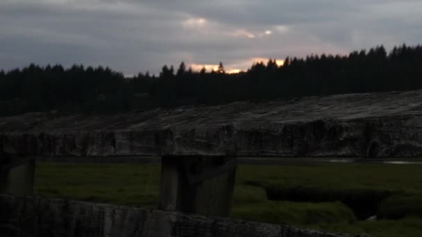 Sonnenuntergang durch schwere Gewitterwolken über Wald mit fliegendem Vogel gesehen — Stockvideo