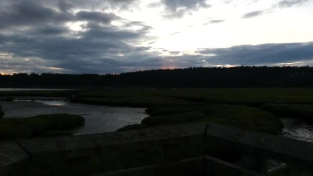 Nuages orageux lourds et coucher de soleil sur la forêt sombre zoom lent — Video