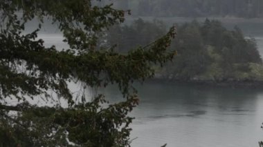 Washington Puget Sound 'da kara yağmurlu bir gün.