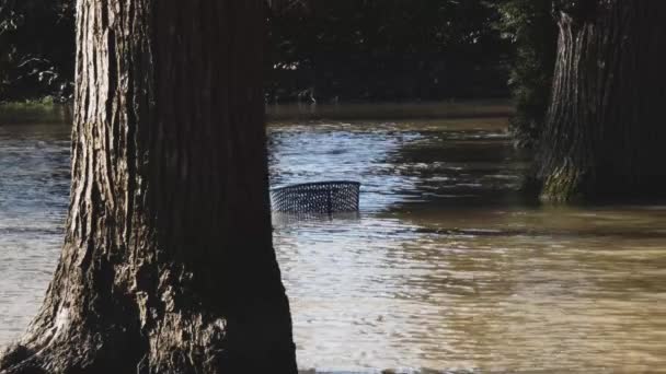 Un parc urbain inondé après de fortes pluies — Video