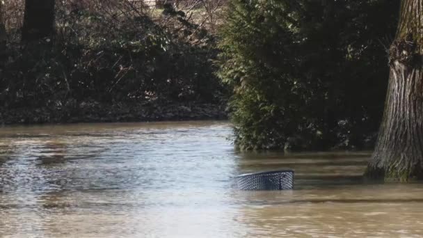 Un parque de la ciudad inundado después de fuertes lluvias — Vídeos de Stock