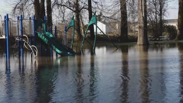 Park miejski zalany ulewnym deszczem — Wideo stockowe