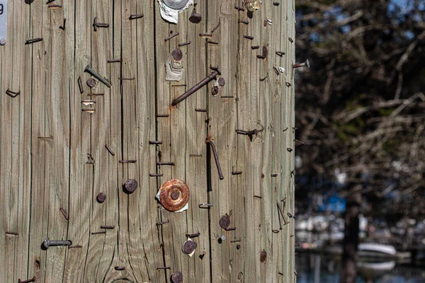 Old rough piece of wood with nails — Stock Photo, Image